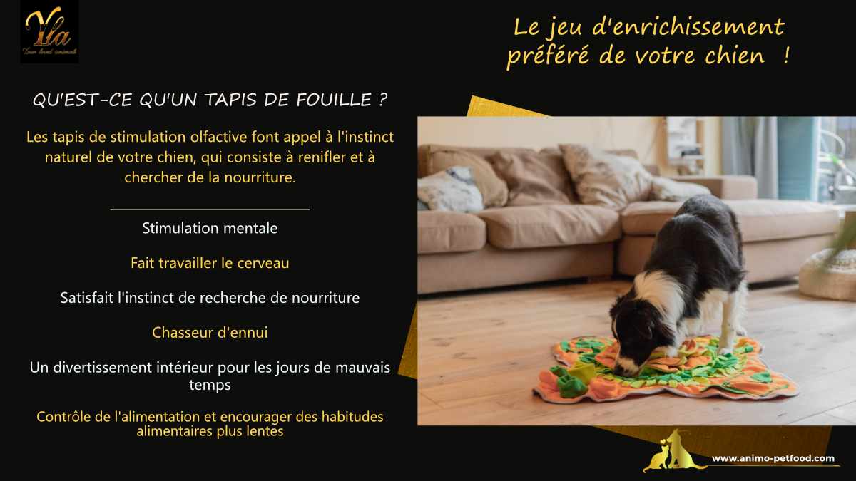 Tapis de fouille pour chien, jouet stimulant l'odorat et l'intelligence